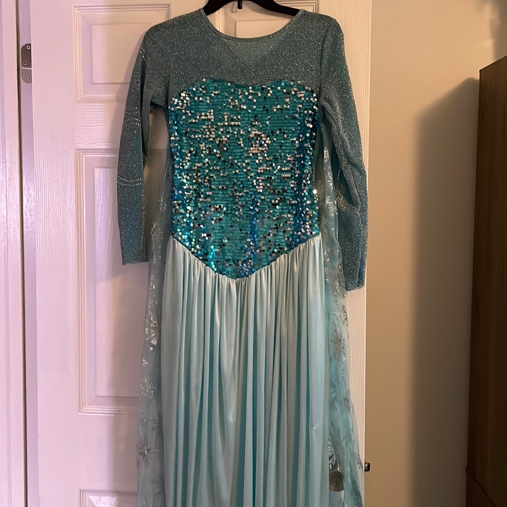 Womens Elsa costume dress